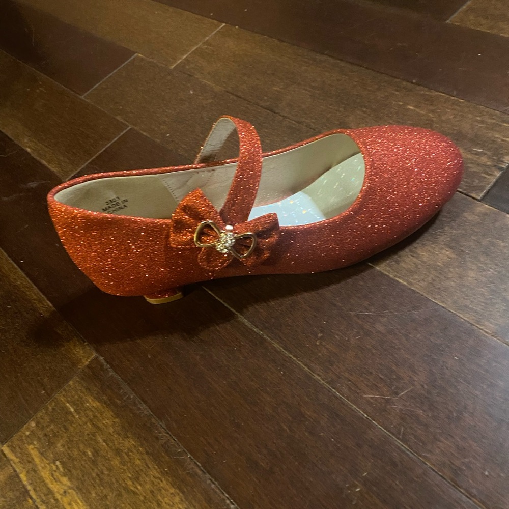 Dorothy Shoes!! Halloween Wizard of Oz Costume Accessory!